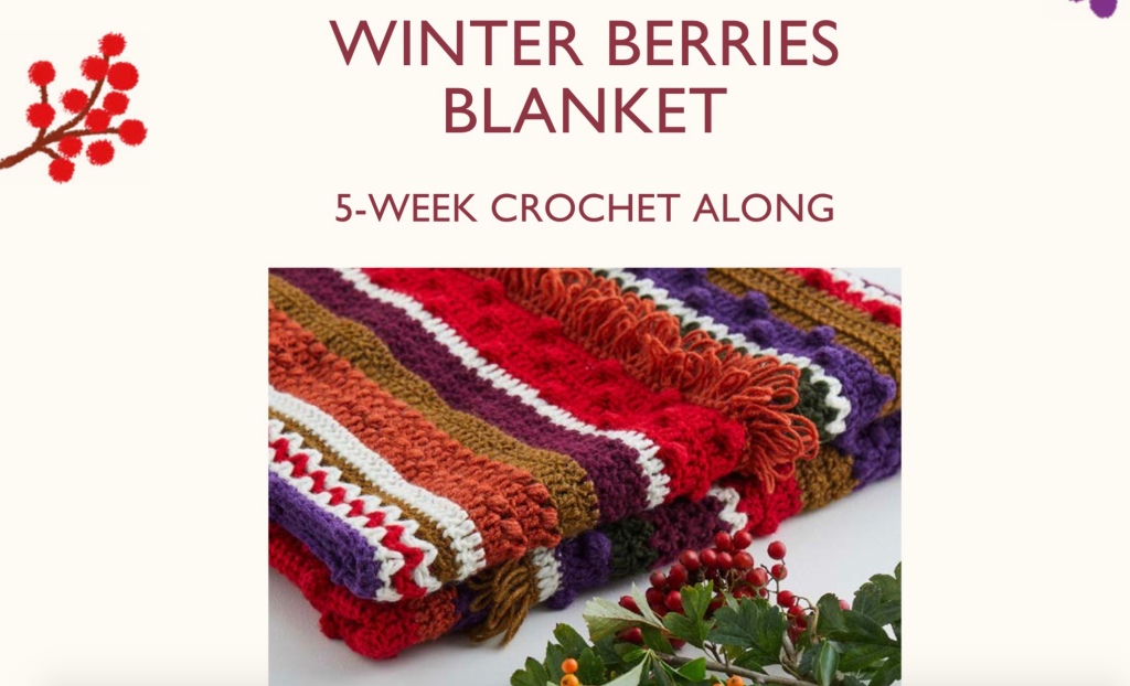 Winter berries blanket cal